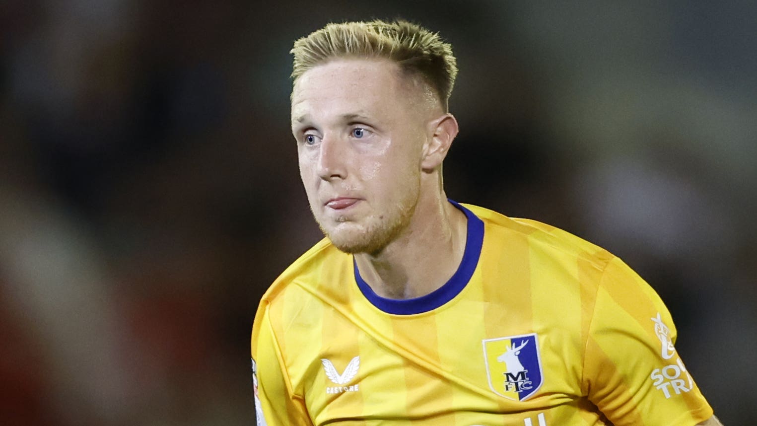 奋勇拼搏的 奋勇拼搏的